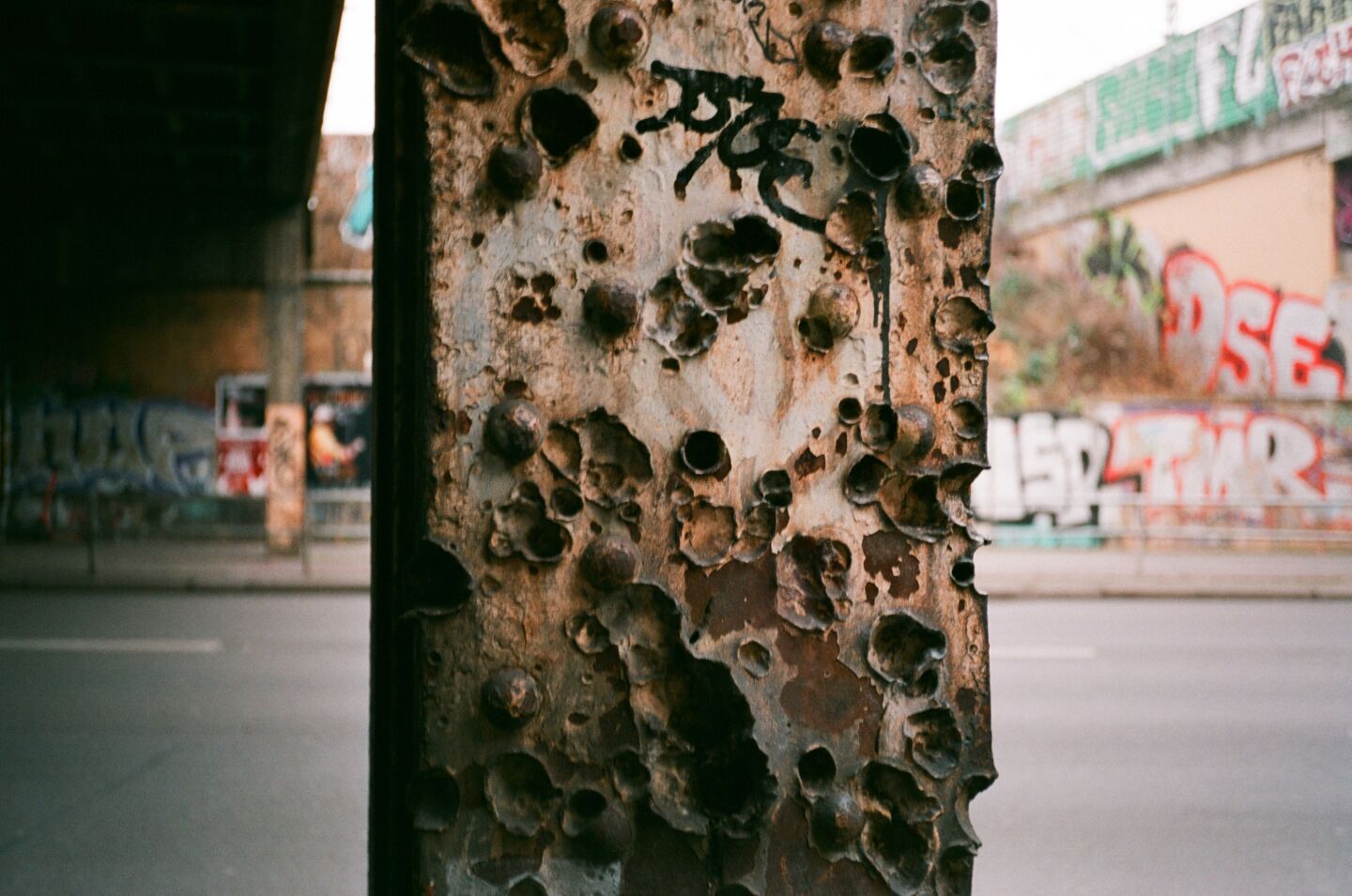 51755 000517550019 b No S