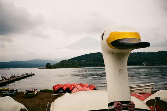 山中湖 Lake Yamanaka