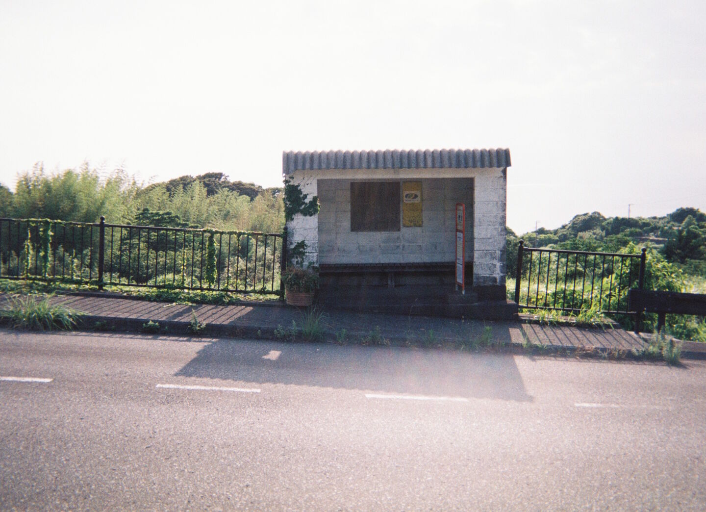 JpShizu000025