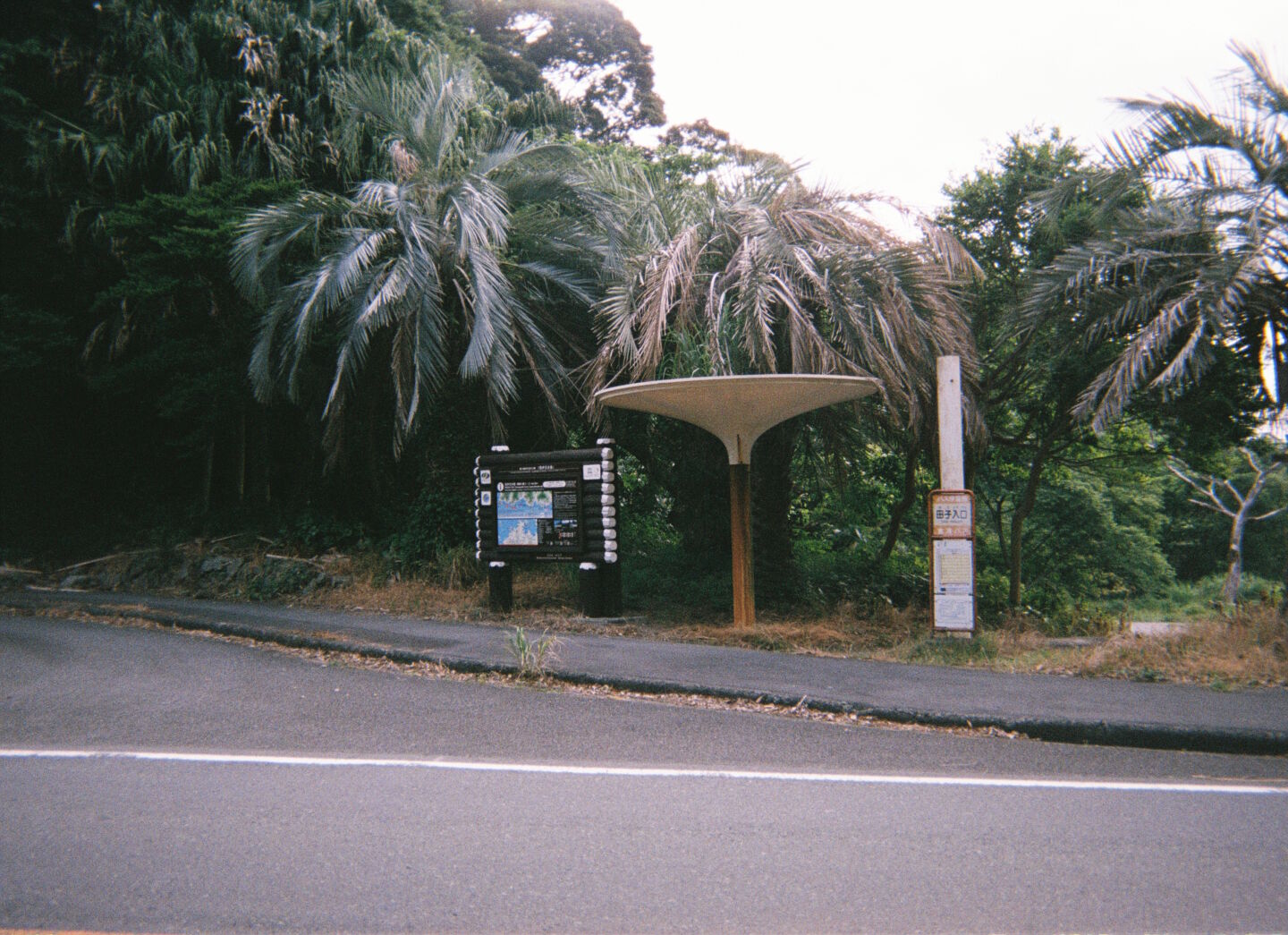 JpIzu000022
