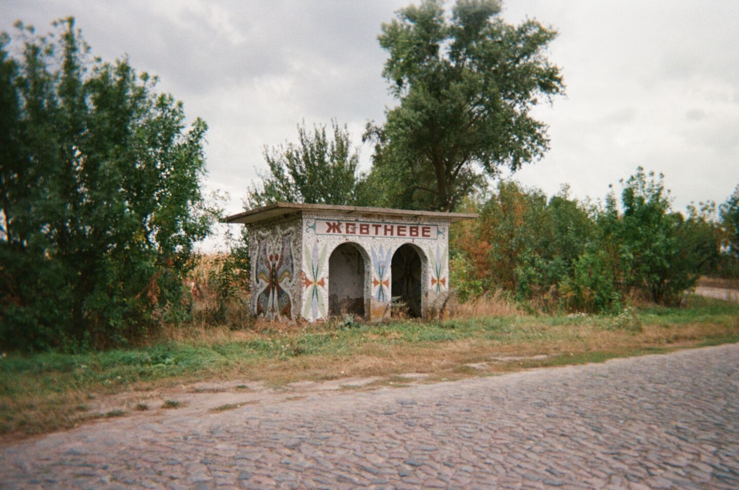 Vinnytsia247989 004798910027 V8 X2