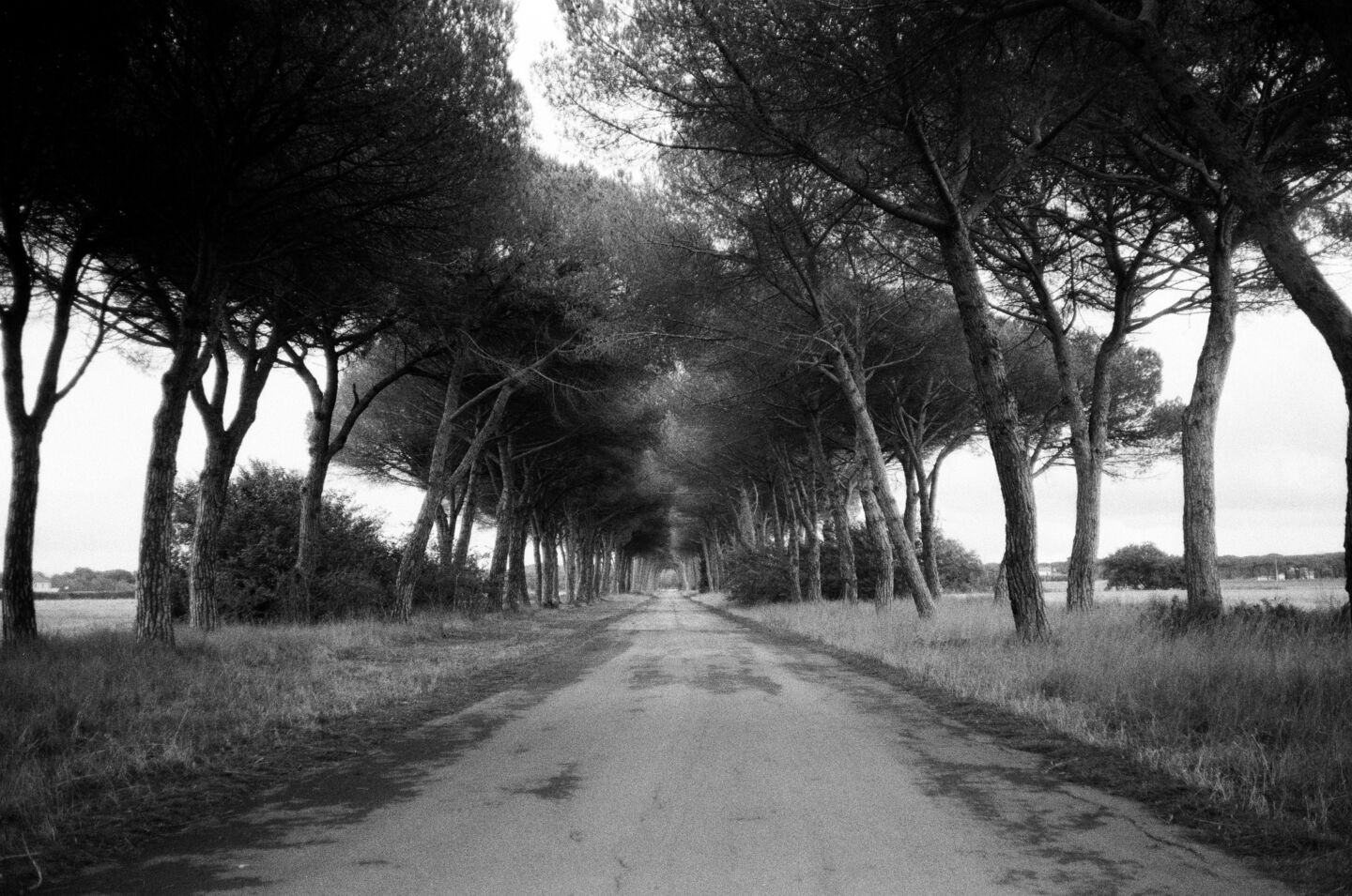 Roads Pisa