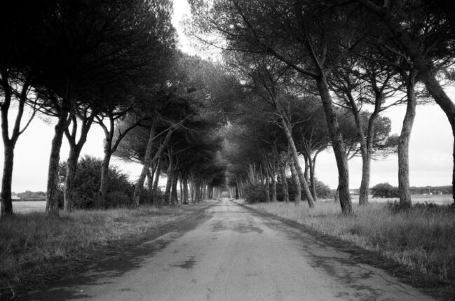 Roads Pisa