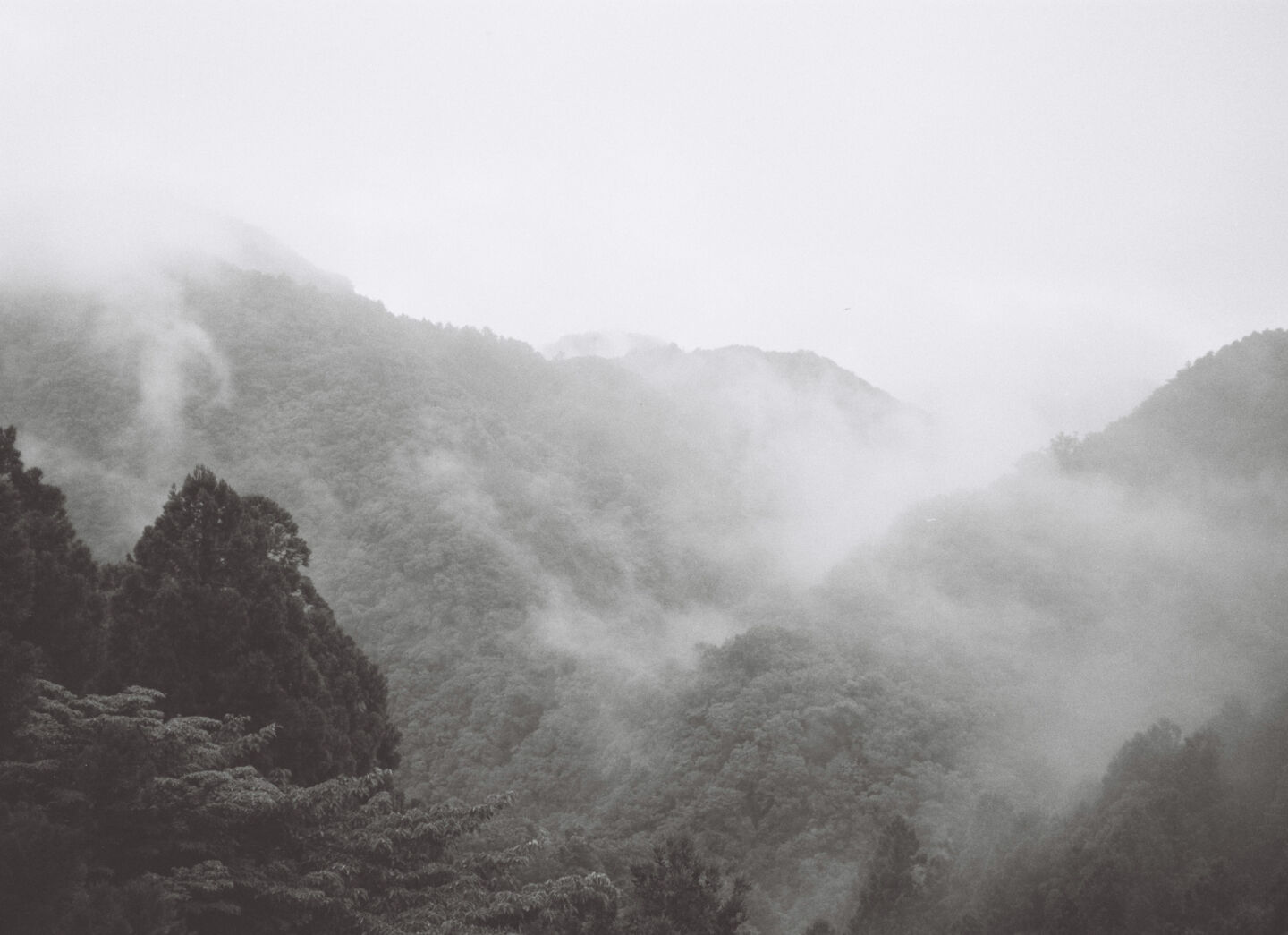 Savethenaturecloudmtns JP