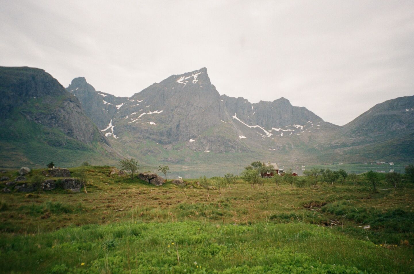 Save Lofoten