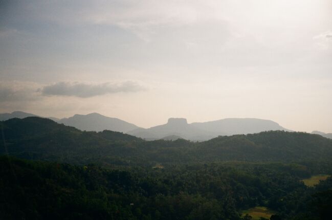 Save Srilanka Taefelberg