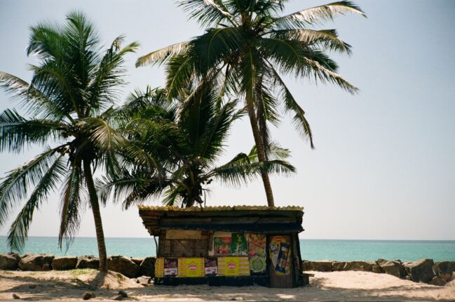 Store Sri Lanka Rotten